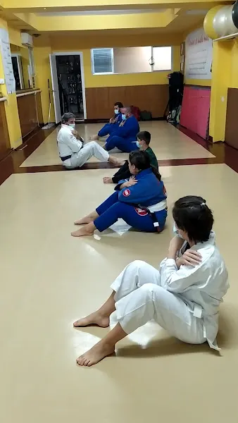 Escuela de Jiu-Jitsu Bjj Madrid - Escuela de Jiu-jitsu en Madrid - foto 2
