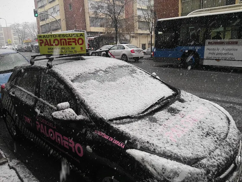Autoescuela Palomero - Autoescuela en Madrid - foto 3