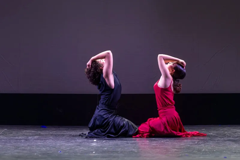 Escuela de Danza Rocío Palencia Haro - Escuela de flamenco en Madrid - foto 2