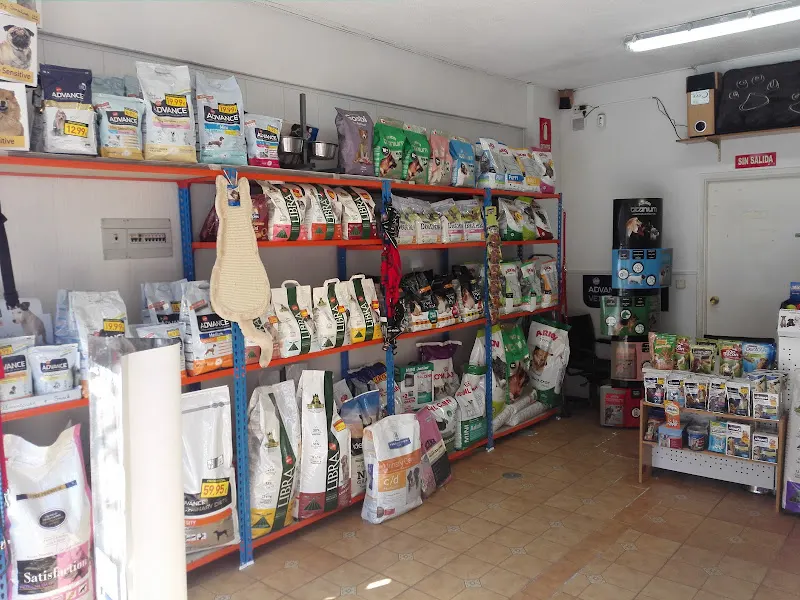 Mascota Total y peluquería canina en Madrid