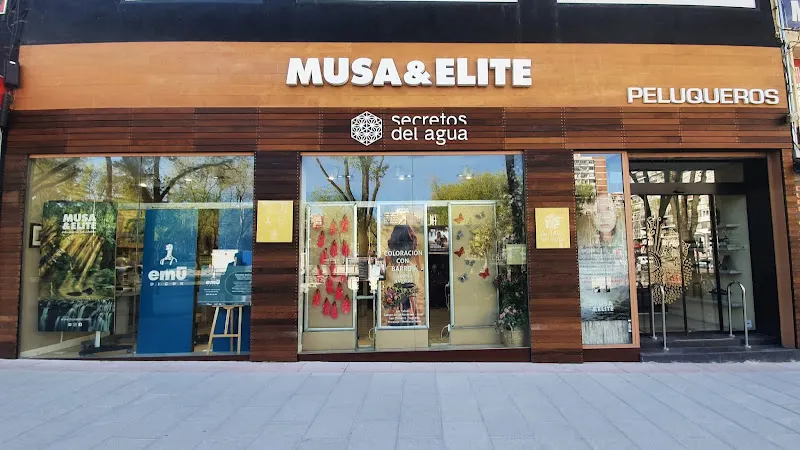 Musa & Elite Barrio del Pilar - Peluquería en Madrid - foto 3