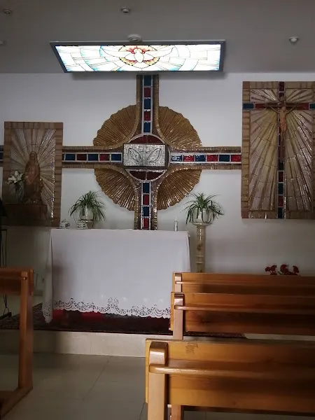 Nuestra Señora Flor del Carmelo