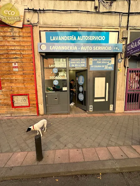 Lavandería autoservicio Barrio del Pilar