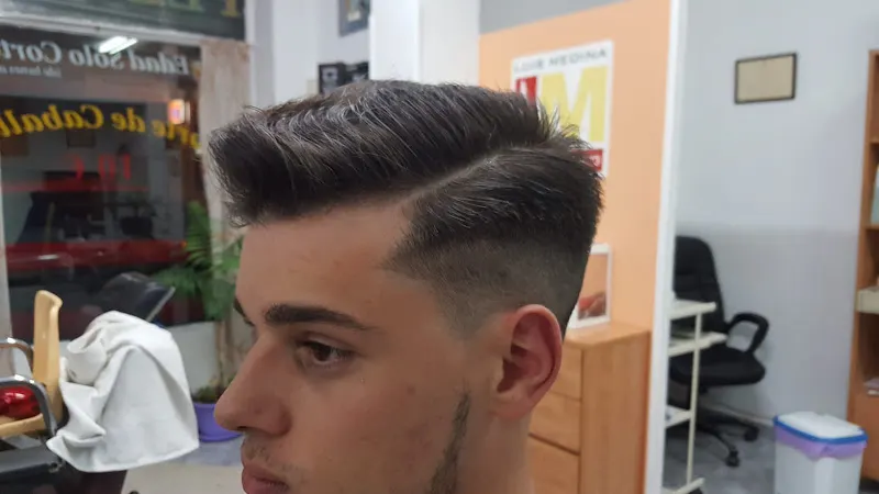 Luis Medina Peluqueros - Madrid